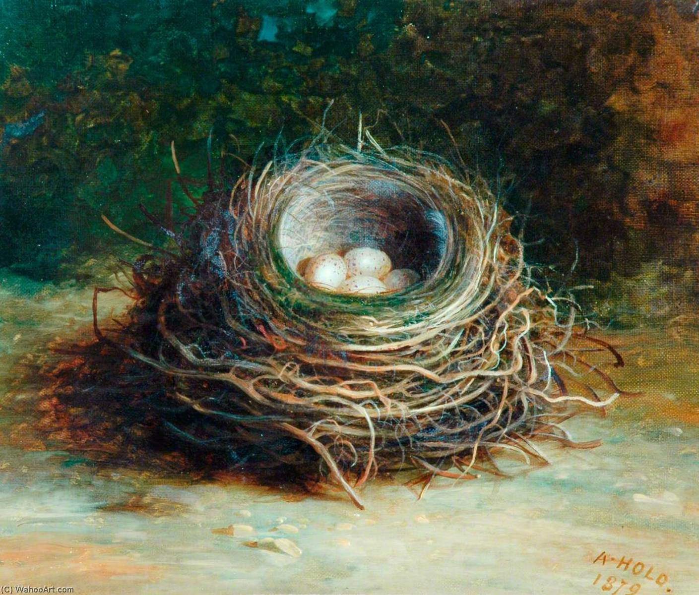 Wikioo.org - The Encyclopedia of Fine Arts - Painting, Artwork by Abel Hold - Starling's Nest