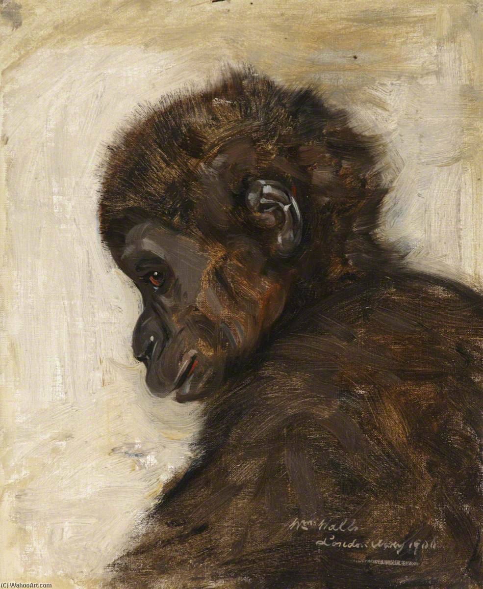 Wikioo.org - The Encyclopedia of Fine Arts - Painting, Artwork by William Walls - Baby Gorilla