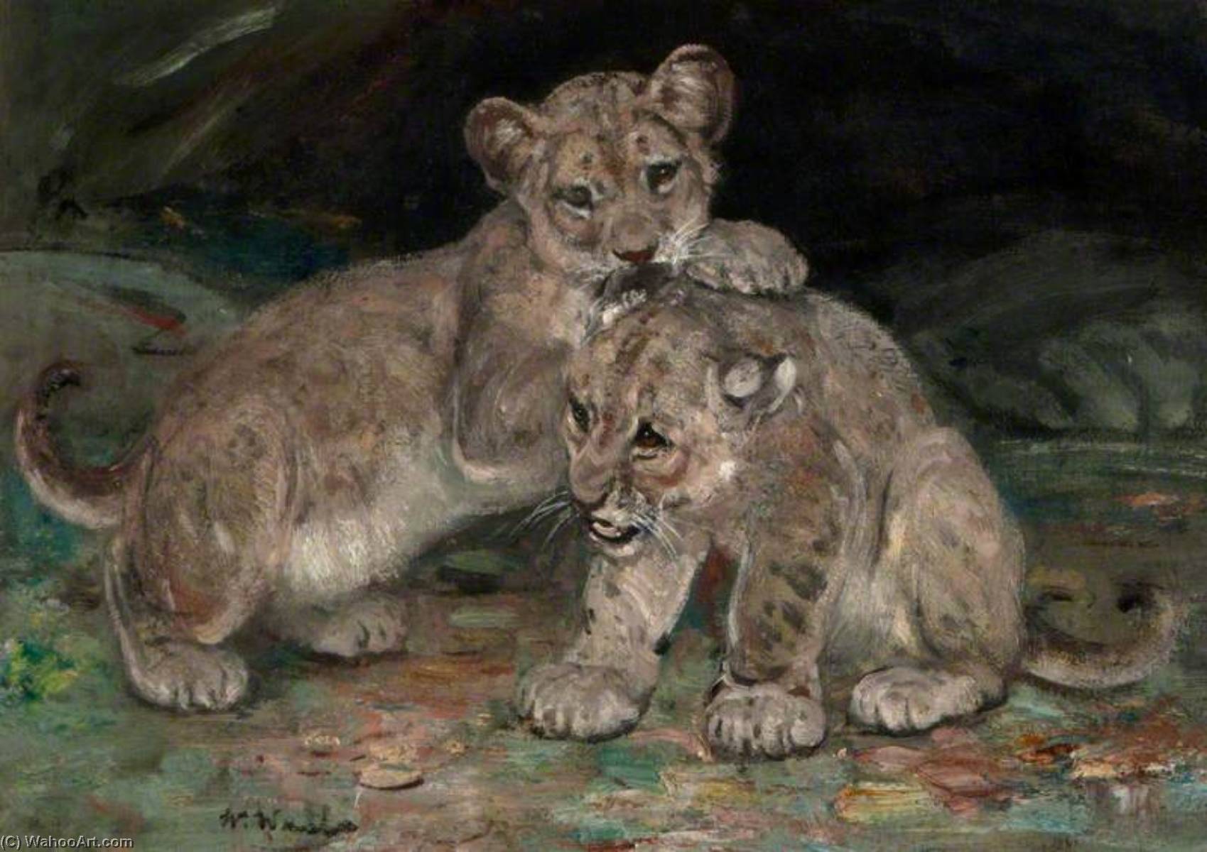 Wikioo.org - The Encyclopedia of Fine Arts - Painting, Artwork by William Walls - Lion Cubs