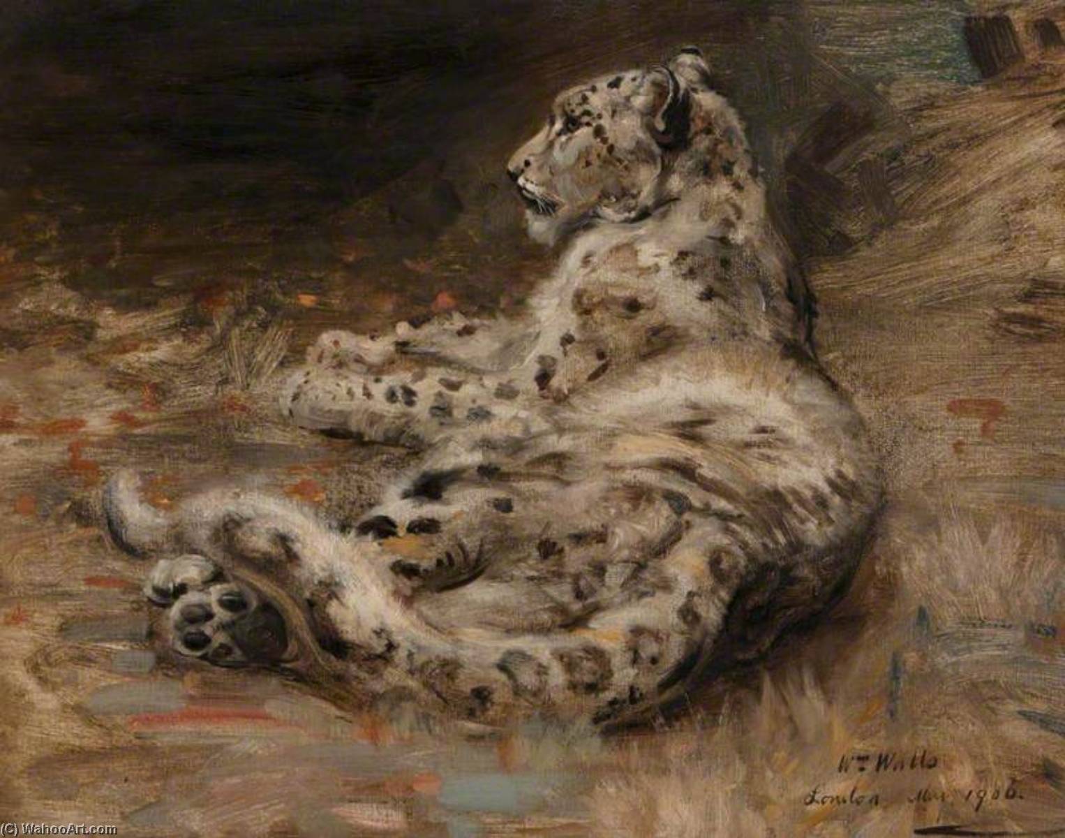 Wikioo.org - The Encyclopedia of Fine Arts - Painting, Artwork by William Walls - A Leopard