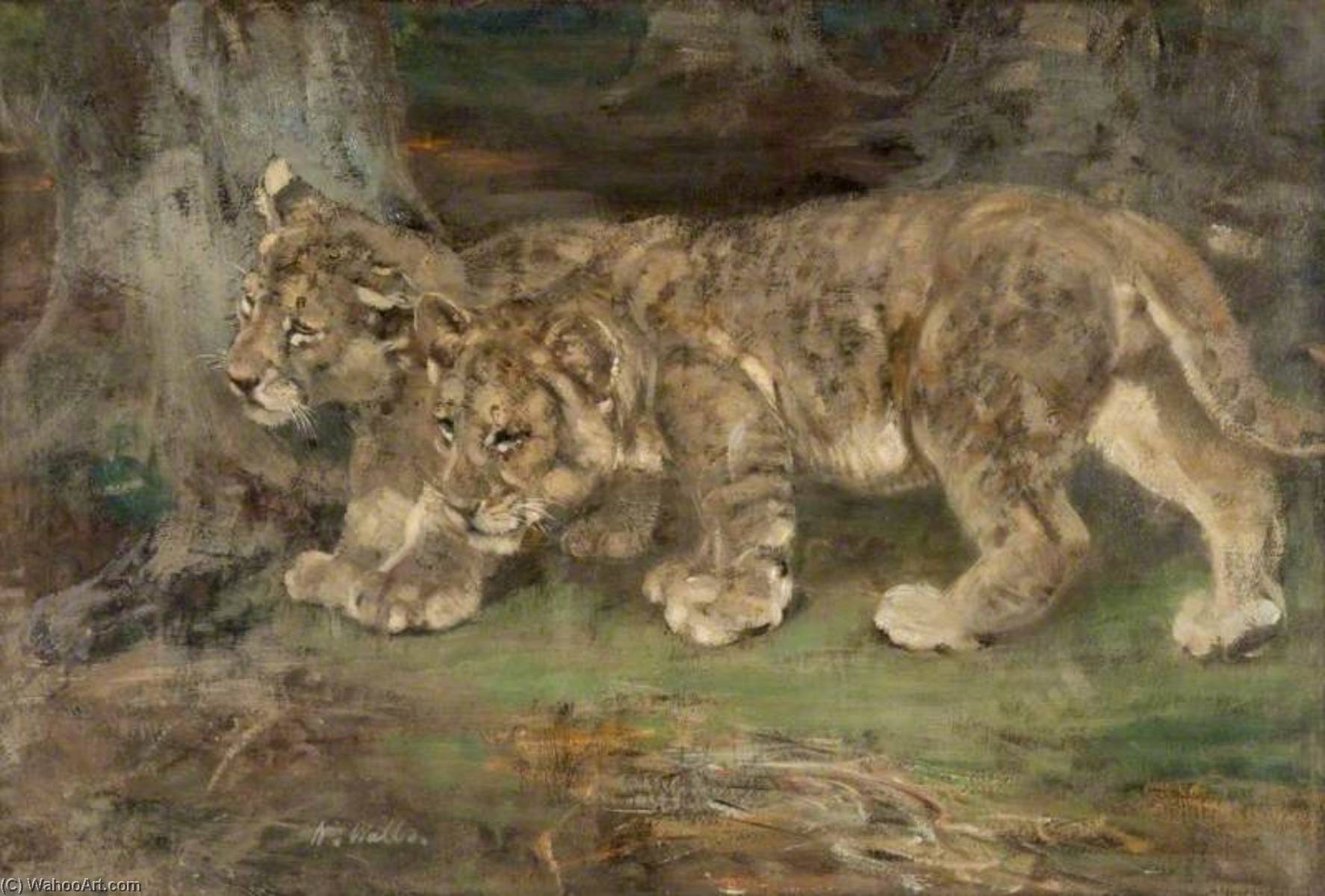 Wikioo.org - The Encyclopedia of Fine Arts - Painting, Artwork by William Walls - Lion Cubs, Suspicion
