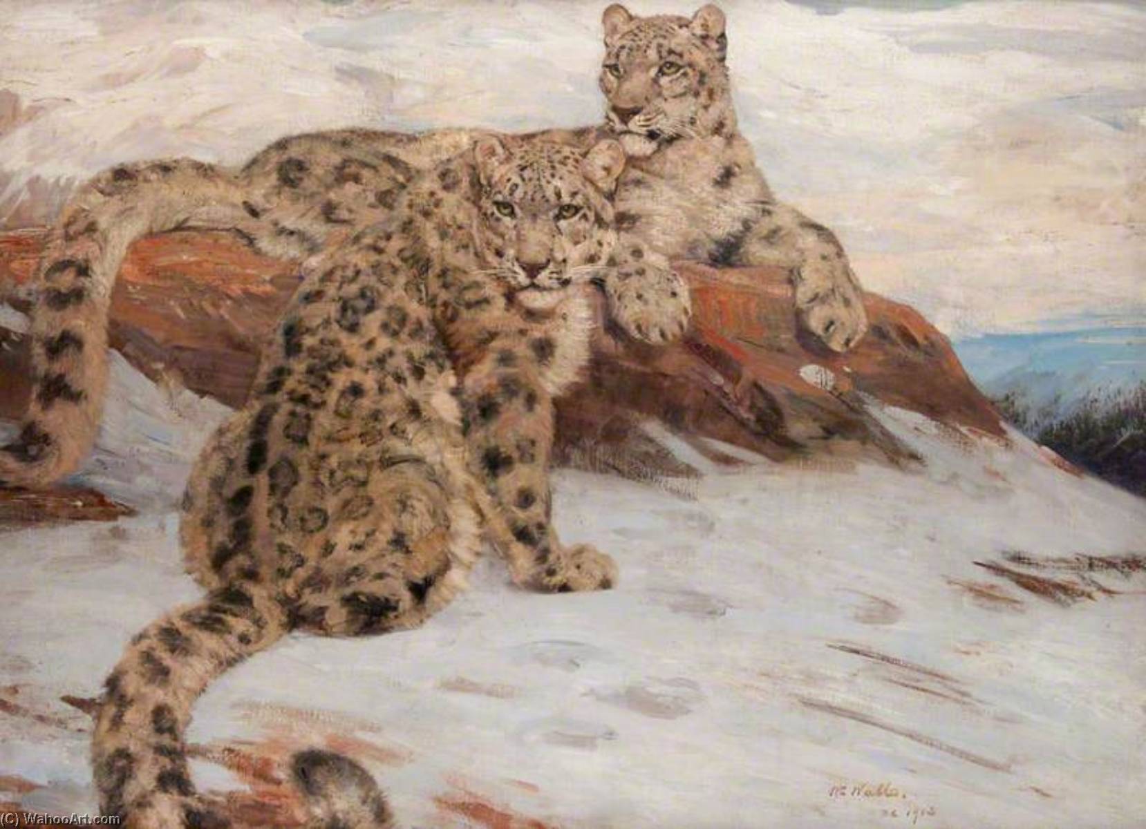 Wikioo.org - Bách khoa toàn thư về mỹ thuật - Vẽ tranh, Tác phẩm nghệ thuật William Walls - Snow Leopards