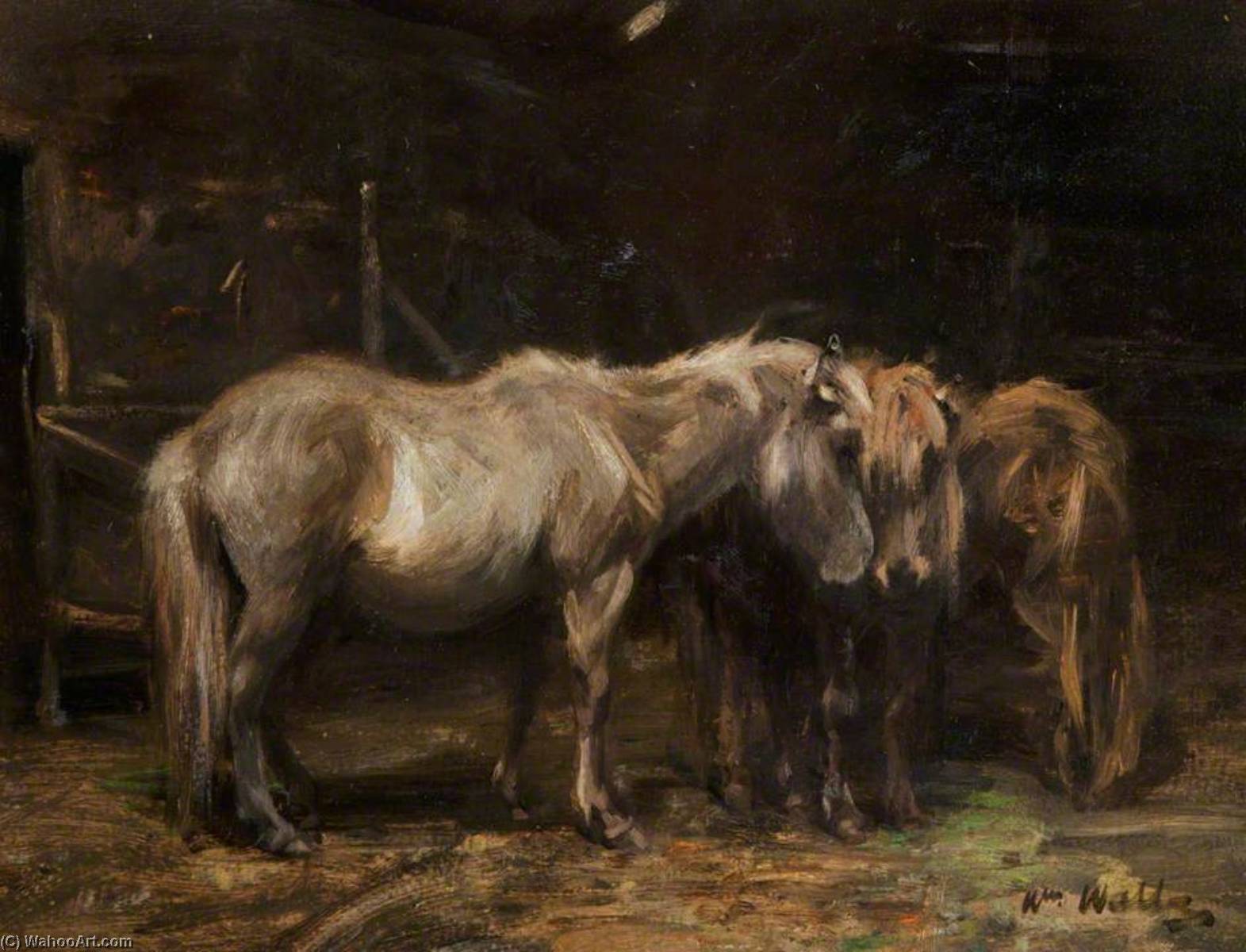 Wikioo.org - Bách khoa toàn thư về mỹ thuật - Vẽ tranh, Tác phẩm nghệ thuật William Walls - Shetland Ponies