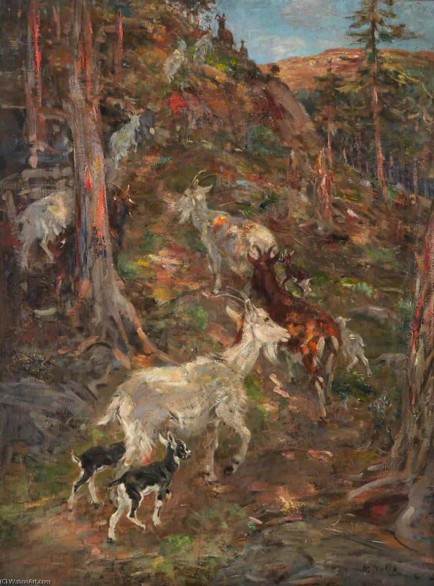 Wikioo.org - The Encyclopedia of Fine Arts - Painting, Artwork by William Walls - Mountain Goats