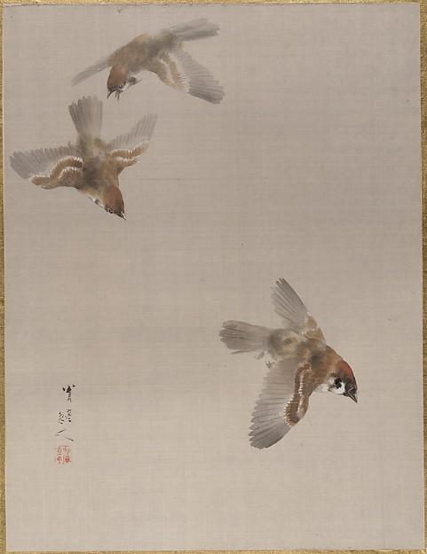 Wikioo.org - The Encyclopedia of Fine Arts - Painting, Artwork by Watanabe Seitei - Sparrows Flying