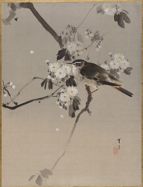 Wikioo.org - The Encyclopedia of Fine Arts - Painting, Artwork by Watanabe Seitei - 桜に小禽図 Birds on a Flowering Branch