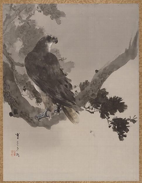 Wikioo.org - The Encyclopedia of Fine Arts - Painting, Artwork by Watanabe Seitei - Eagle in a Tree