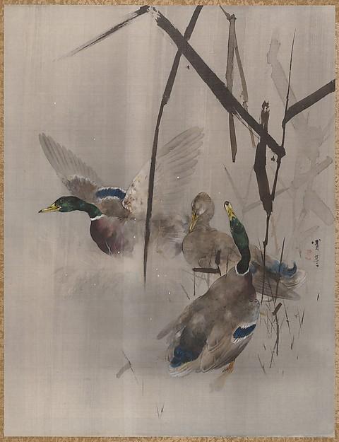 Wikioo.org - The Encyclopedia of Fine Arts - Painting, Artwork by Watanabe Seitei - Ducks in the Rushes