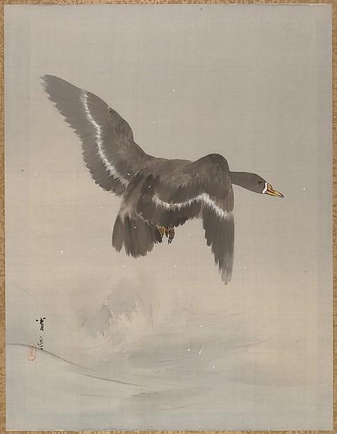 Wikioo.org - The Encyclopedia of Fine Arts - Painting, Artwork by Watanabe Seitei - Flying Goose