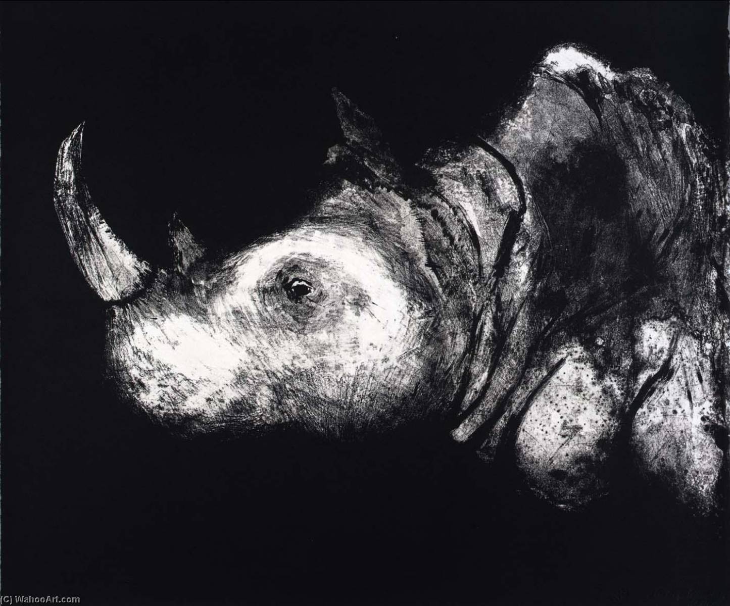 Wikioo.org - Bách khoa toàn thư về mỹ thuật - Vẽ tranh, Tác phẩm nghệ thuật Aubrey Schwartz - (A Bestiary, portfolio) Rhinocerus