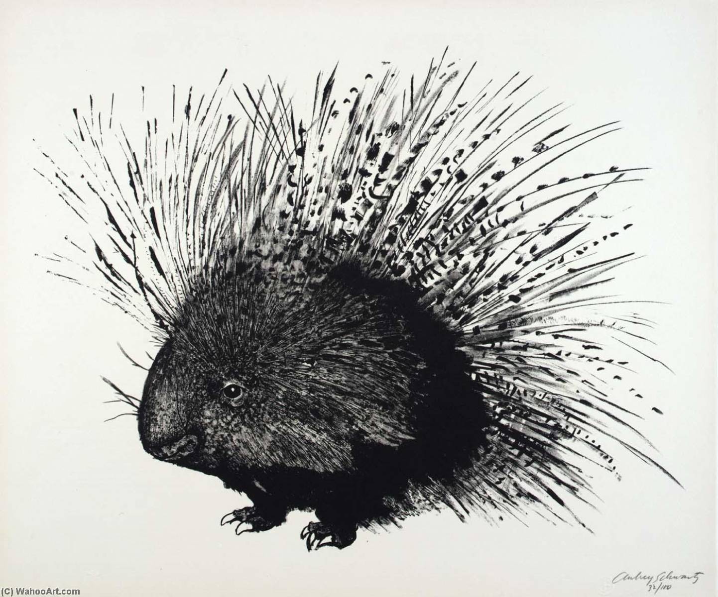 Wikioo.org - The Encyclopedia of Fine Arts - Painting, Artwork by Aubrey Schwartz - (A Bestiary, portfolio) Porcupine