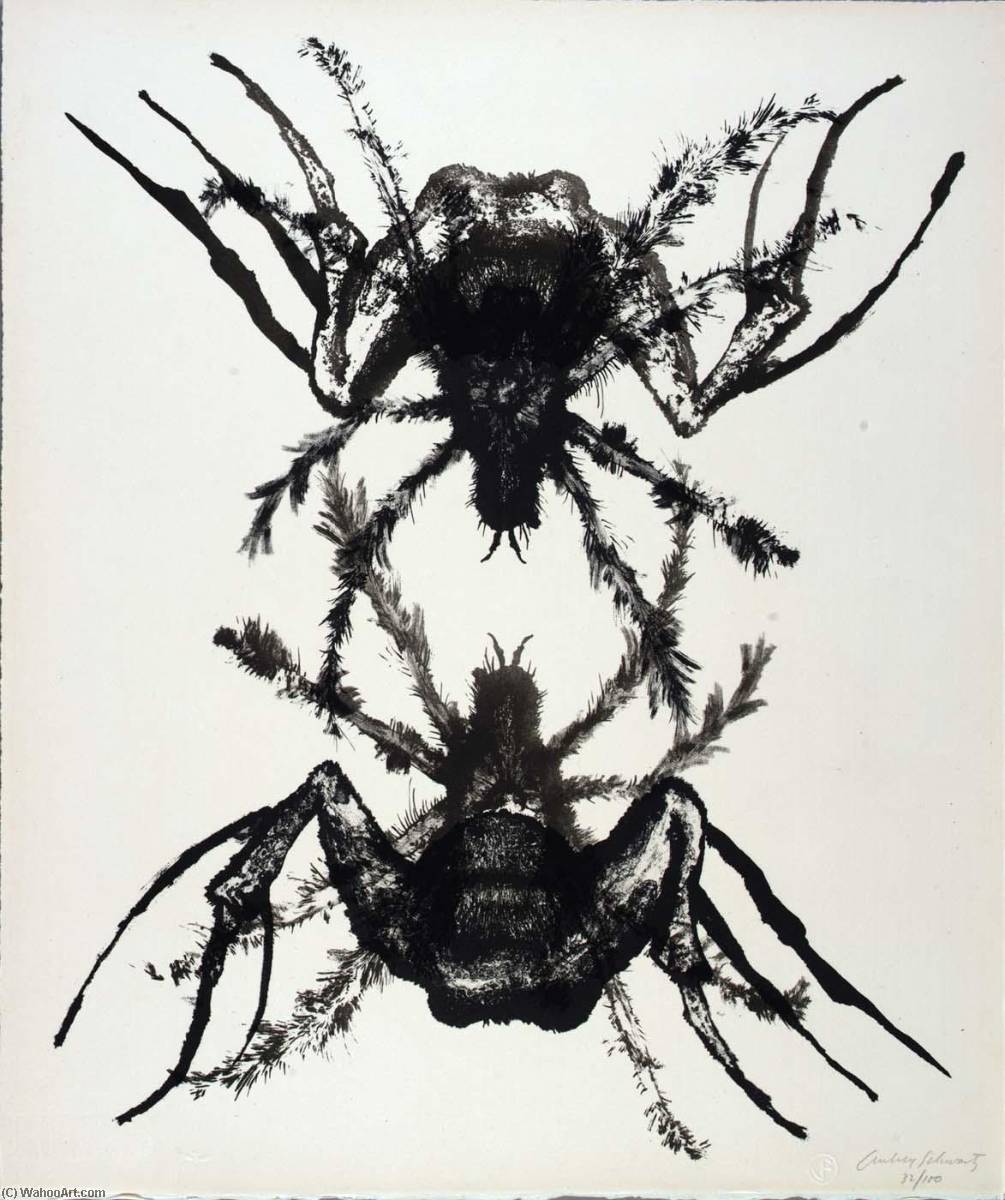 Wikioo.org - The Encyclopedia of Fine Arts - Painting, Artwork by Aubrey Schwartz - (A Bestiary, portfolio) Tarantula