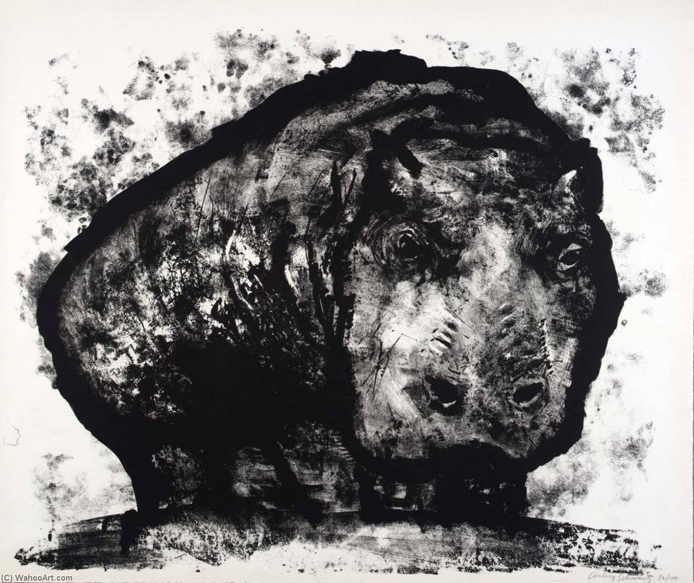 Wikioo.org - The Encyclopedia of Fine Arts - Painting, Artwork by Aubrey Schwartz - (A Bestiary, portfolio) Hippopotamus
