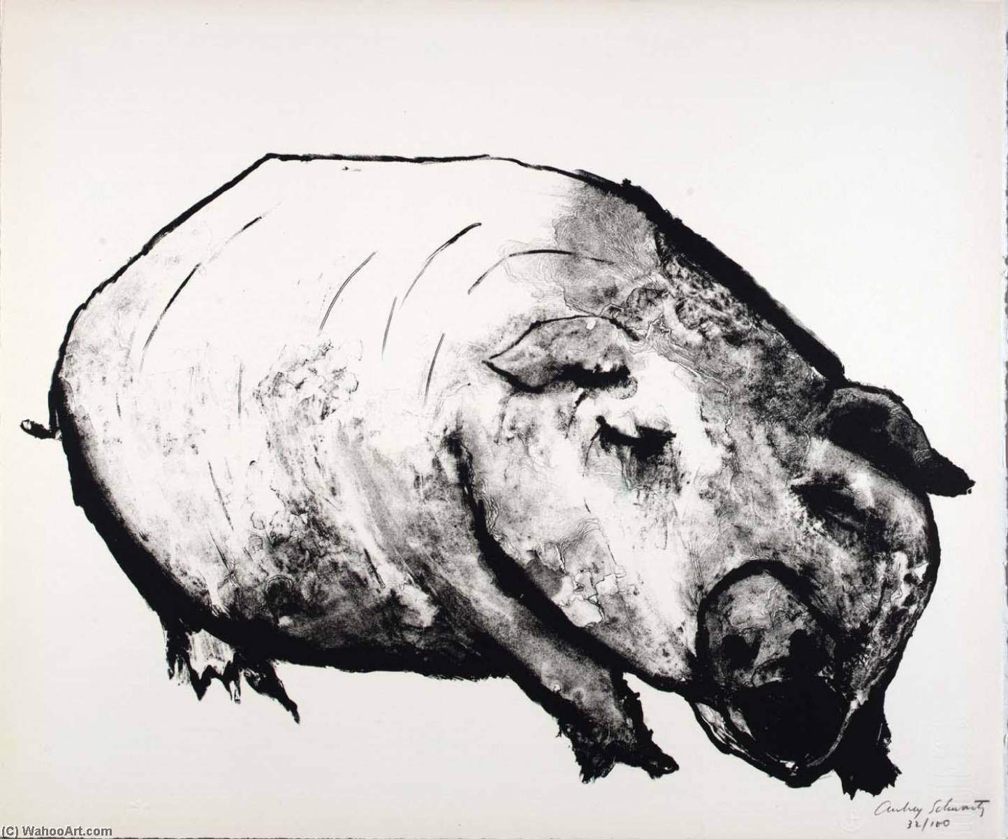 Wikioo.org - The Encyclopedia of Fine Arts - Painting, Artwork by Aubrey Schwartz - (A Bestiary, portfolio) Pig