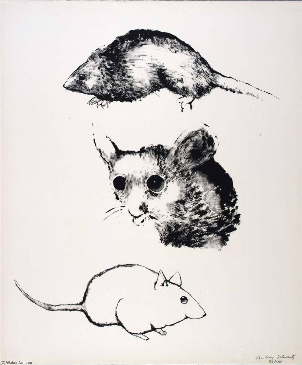 Wikioo.org - The Encyclopedia of Fine Arts - Painting, Artwork by Aubrey Schwartz - (A Bestiary, portfolio) Mice