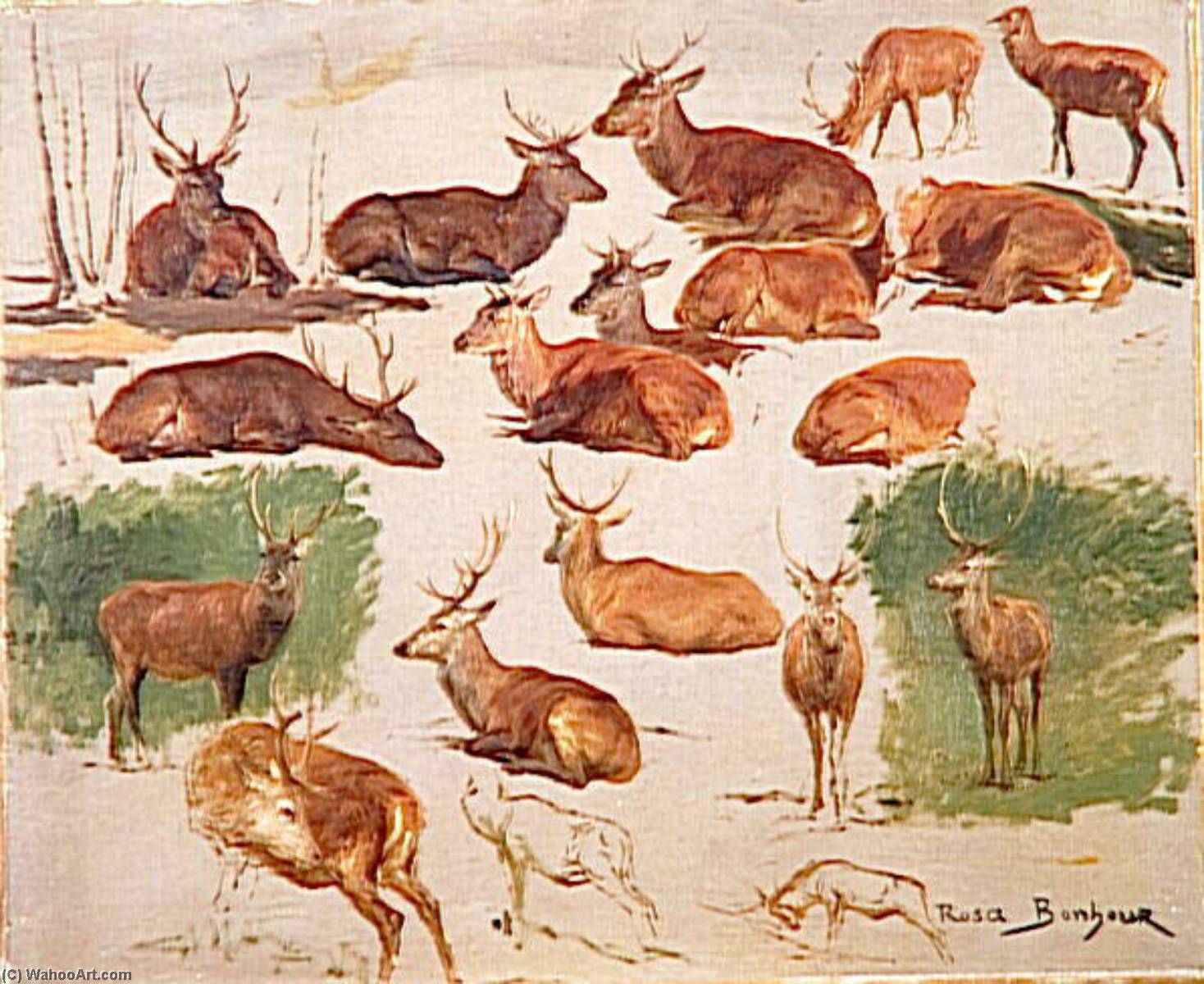 Wikioo.org – L'Encyclopédie des Beaux Arts - Peinture, Oeuvre de Bonheur Marie Rosalie - Etude de cerfs