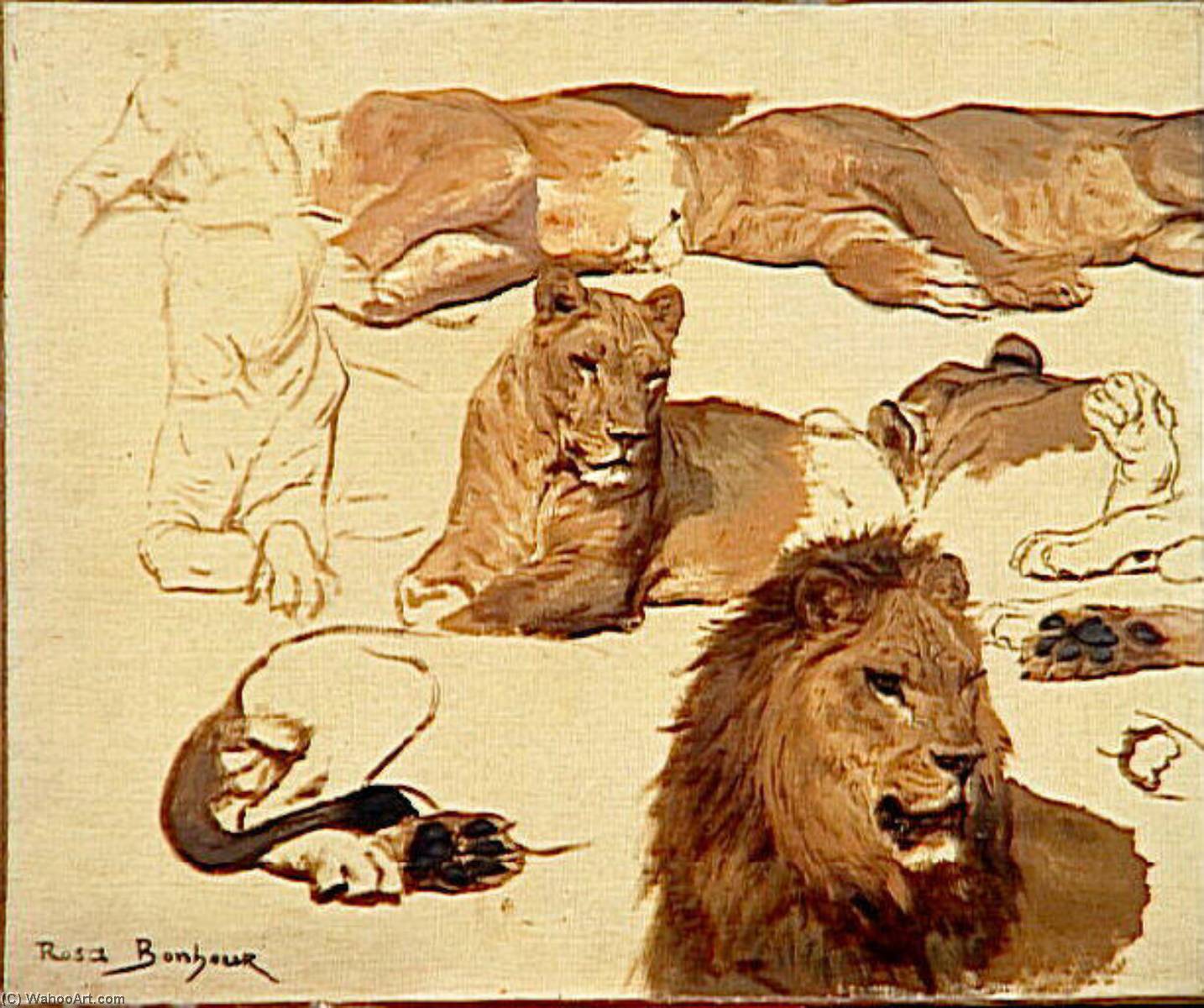 Wikioo.org – L'Encyclopédie des Beaux Arts - Peinture, Oeuvre de Bonheur Marie Rosalie - Etude de du lion et lionne