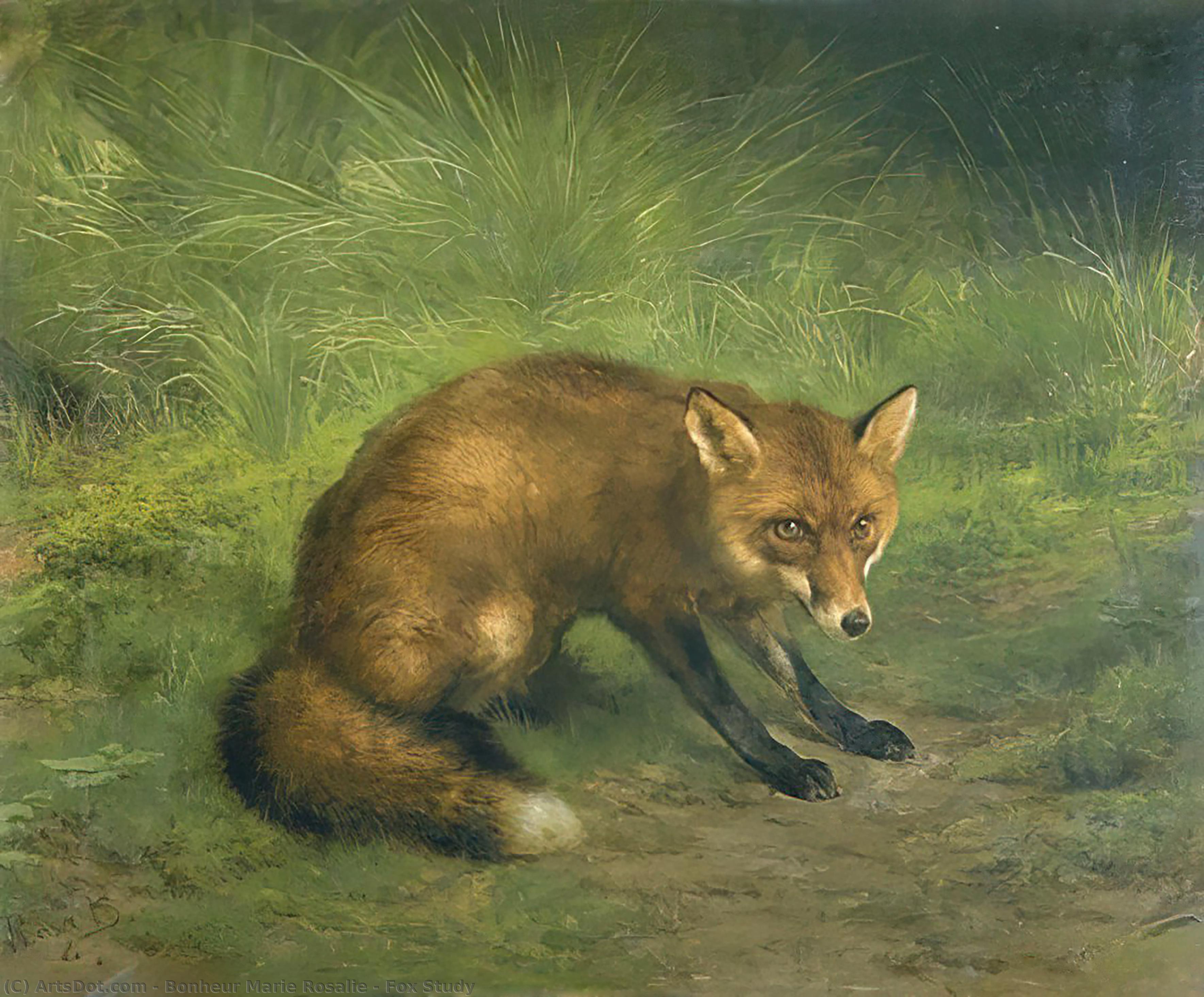 Wikioo.org – L'Encyclopédie des Beaux Arts - Peinture, Oeuvre de Bonheur Marie Rosalie - Etude de renard