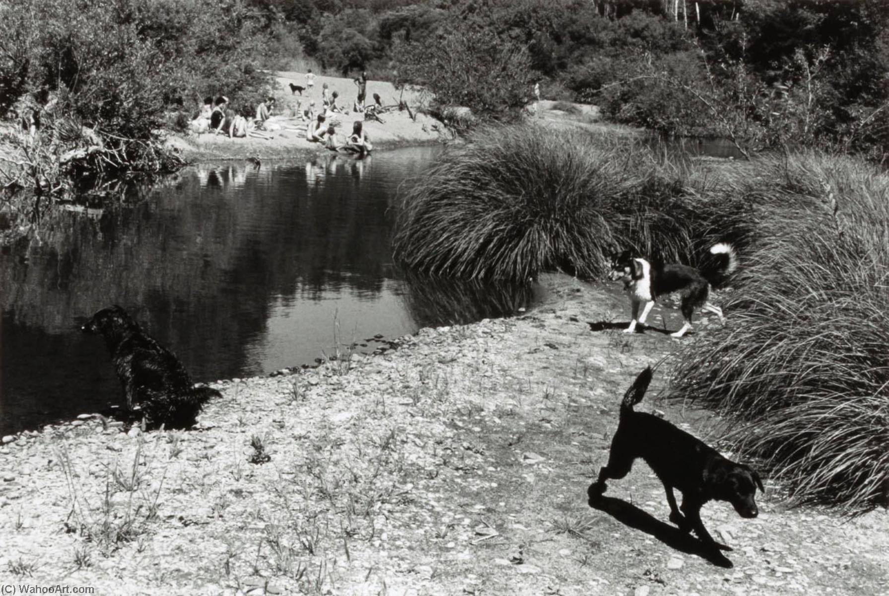 WikiOO.org - 백과 사전 - 회화, 삽화 Alvin Lieberman - Navarro River (Dogs by River)
