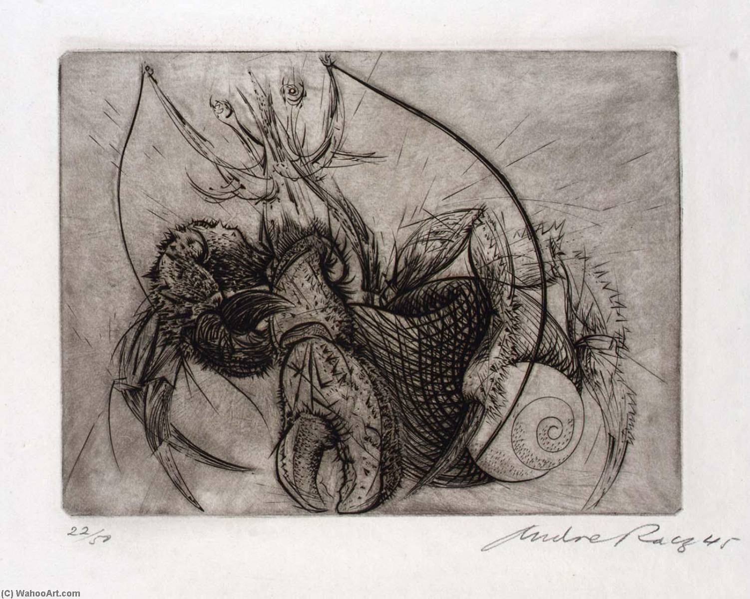 WikiOO.org - Encyclopedia of Fine Arts - Målning, konstverk Andre Racz - Hermit Crab, from the portfolio, Reign of Claws