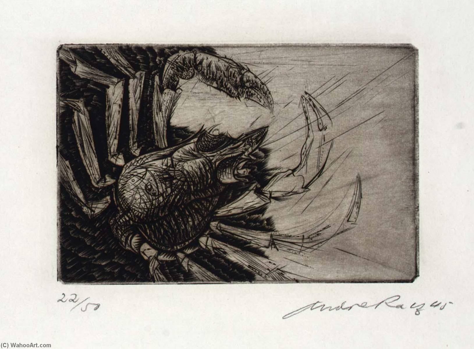 WikiOO.org - Enciclopedia of Fine Arts - Pictura, lucrări de artă Andre Racz - Horseshoe Crab, from the portfolio, Reign of Claws