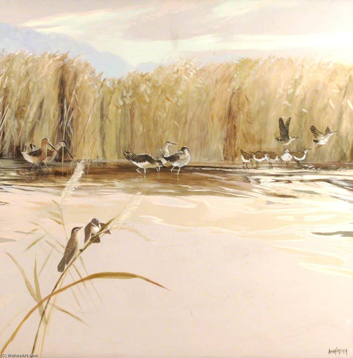 Wikioo.org - สารานุกรมวิจิตรศิลป์ - จิตรกรรม Anne Toms - Wading Birds