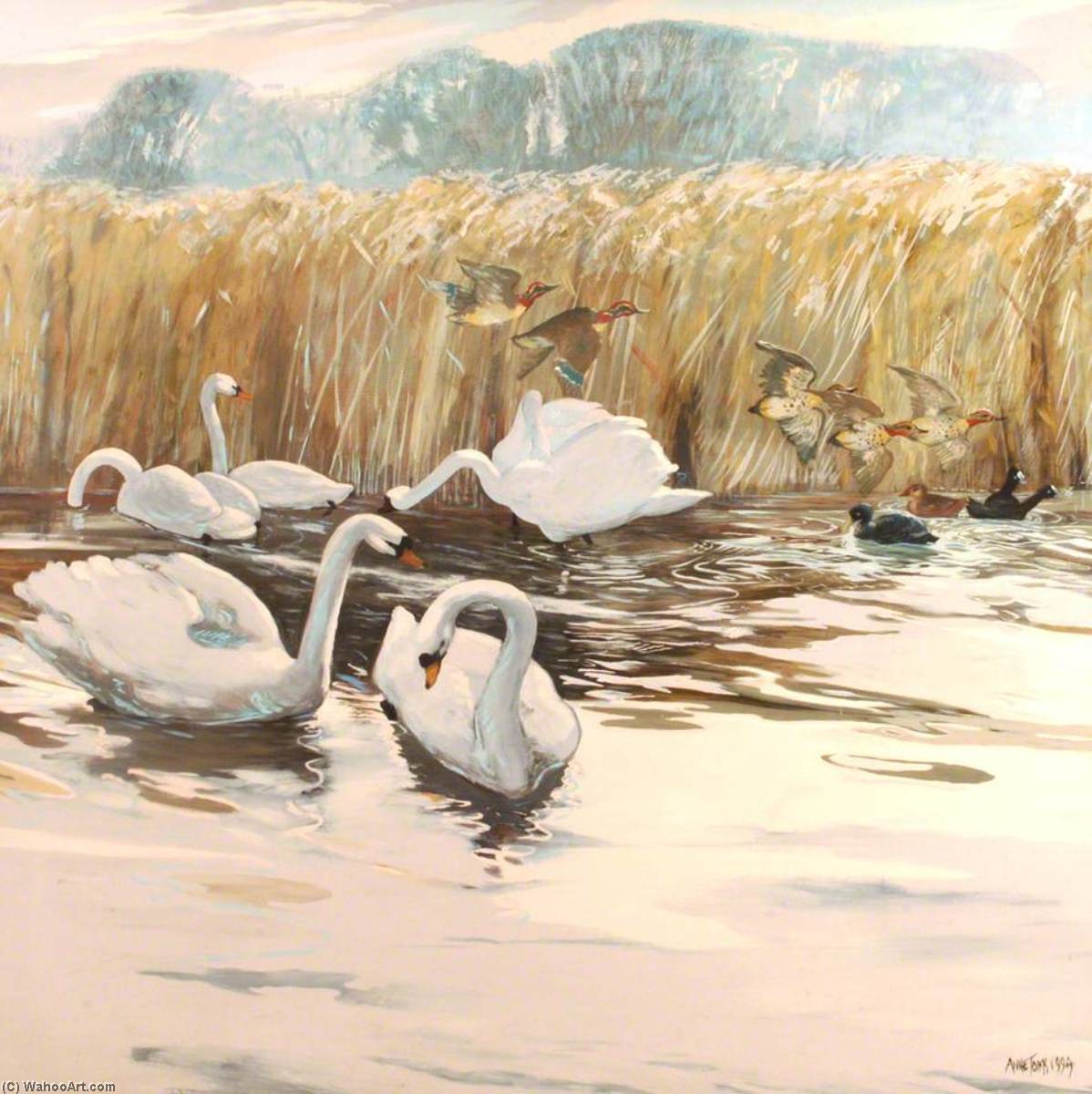 Wikioo.org - The Encyclopedia of Fine Arts - Painting, Artwork by Anne Toms - Swans and Ducks in Flight