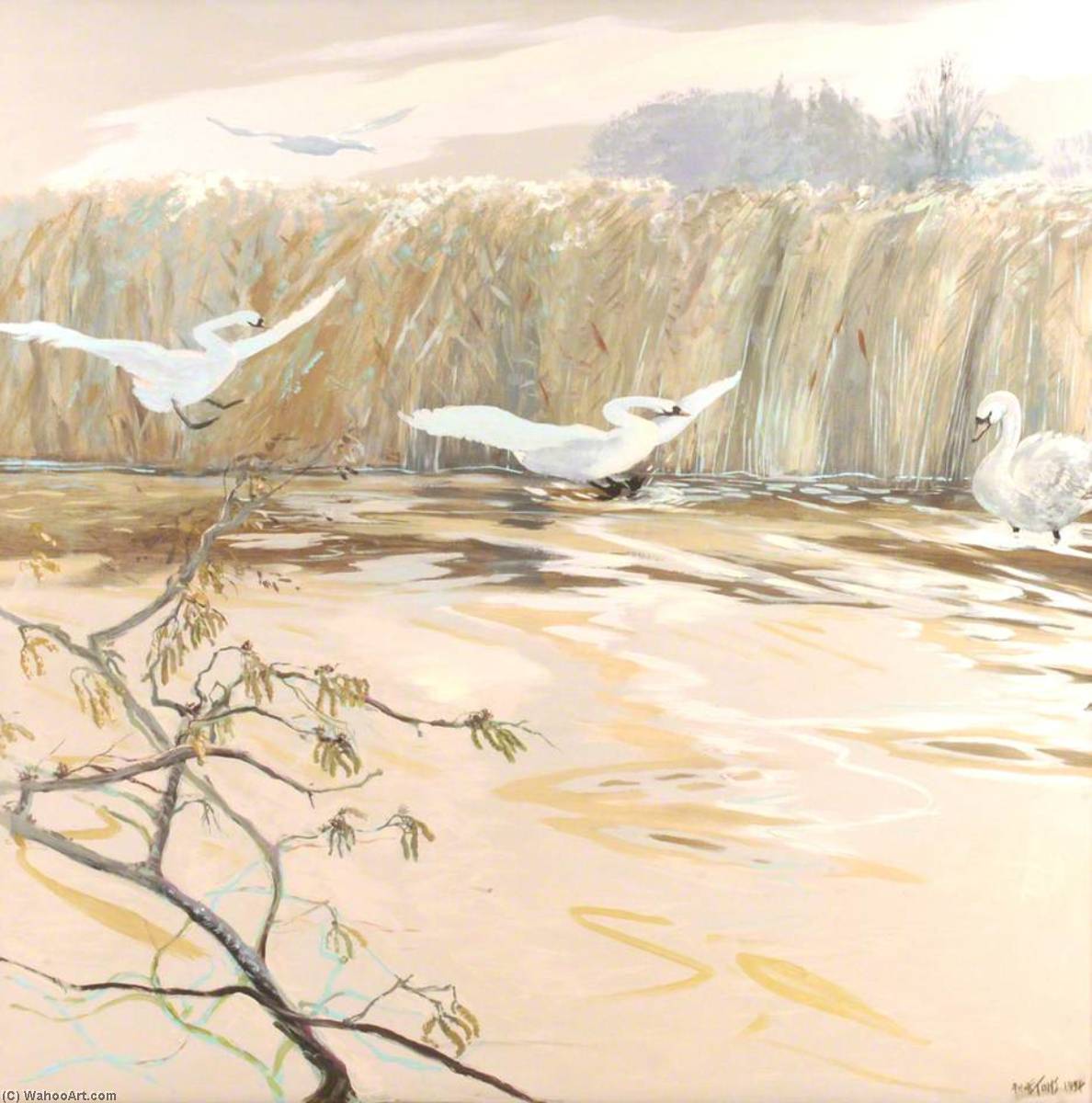 Wikioo.org - The Encyclopedia of Fine Arts - Painting, Artwork by Anne Toms - Swans Landing