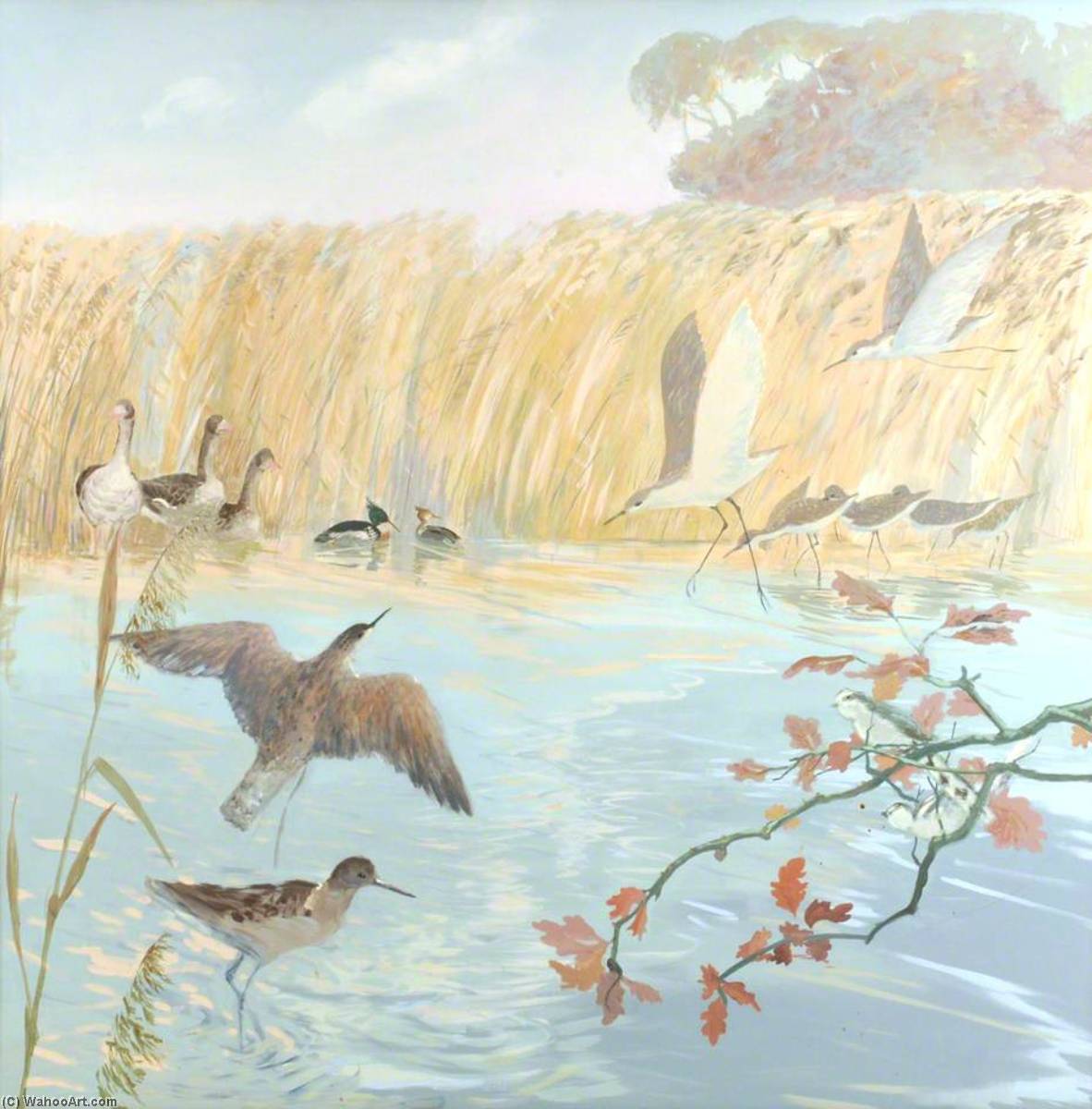 WikiOO.org - Encyclopedia of Fine Arts - Lukisan, Artwork Anne Toms - Curlews and Tufted Ducks