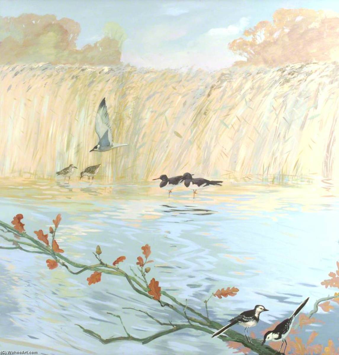 WikiOO.org - Encyclopedia of Fine Arts - Lukisan, Artwork Anne Toms - Oyster Catchers and Wagtails