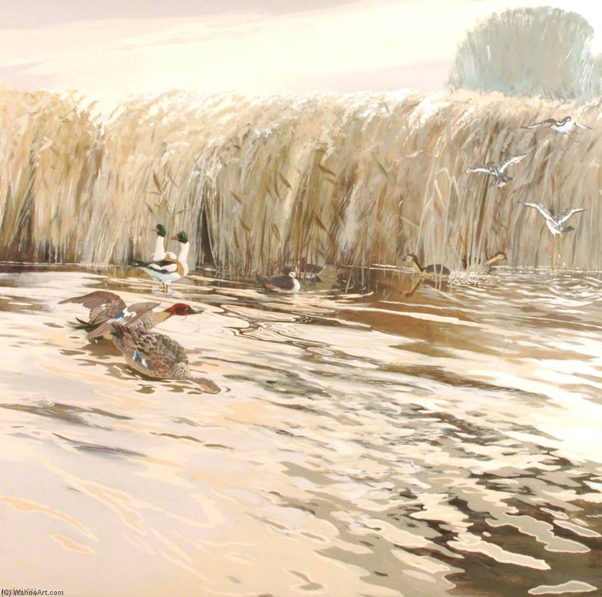 WikiOO.org - Enciclopedia of Fine Arts - Pictura, lucrări de artă Anne Toms - Ducks (triptych, left)