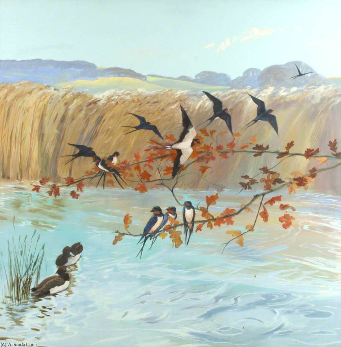 Wikioo.org - The Encyclopedia of Fine Arts - Painting, Artwork by Anne Toms - Swifts
