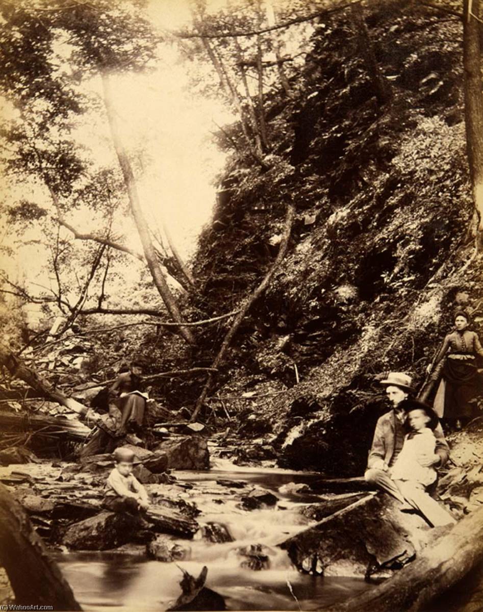 Wikioo.org - The Encyclopedia of Fine Arts - Painting, Artwork by Gotthelf Pach - Devil's Gully, from the album Views of Charlestown, New Hampshire