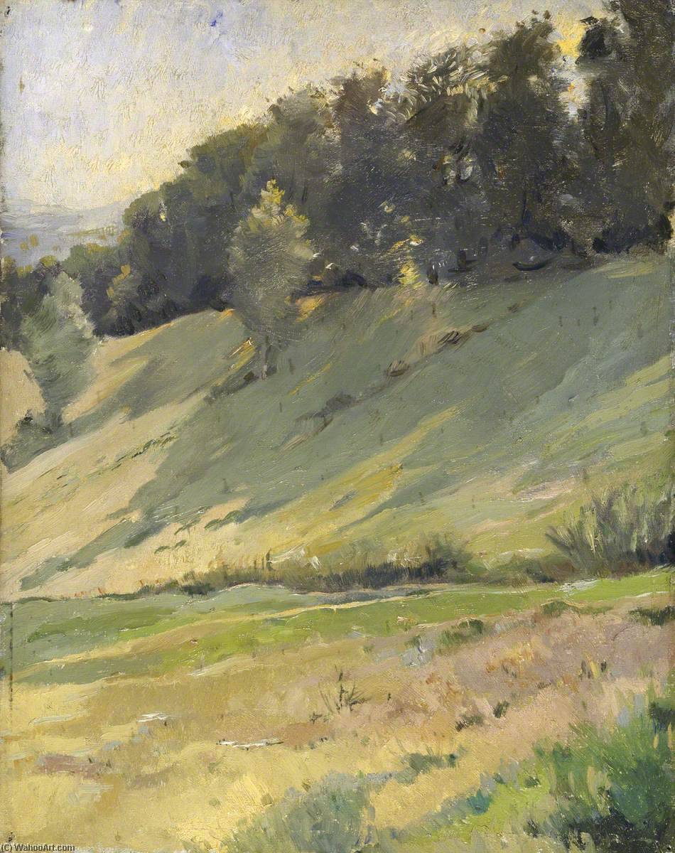 Wikioo.org - The Encyclopedia of Fine Arts - Painting, Artwork by Sarah Paxton Bell Dodson - View from Llandrindod Wells The Upper Link