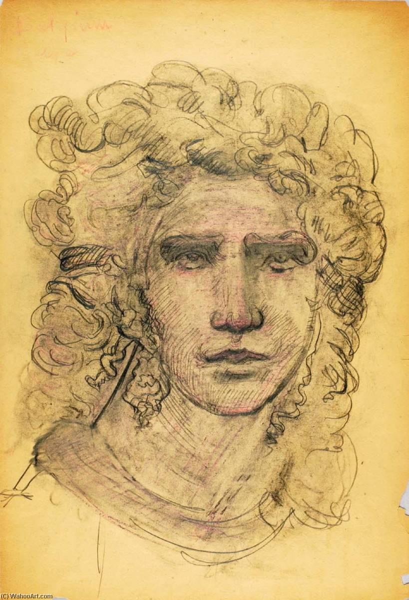 Wikioo.org - สารานุกรมวิจิตรศิลป์ - จิตรกรรม George Grey Barnard - (Untitled Head)
