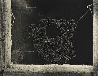 Wikioo.org - The Encyclopedia of Fine Arts - Painting, Artwork by Ilse Bing - Spider Web and Stables, New York
