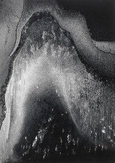 Wikioo.org - The Encyclopedia of Fine Arts - Painting, Artwork by Minor White - Frost Forms Sound of One Hand