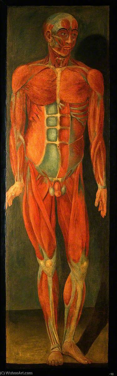 Wikioo.org - The Encyclopedia of Fine Arts - Painting, Artwork by Jacques Fabien Gautier Dagoty - A Standing Man, Facing to His Left, Showing Superficial Muscles and Tendons