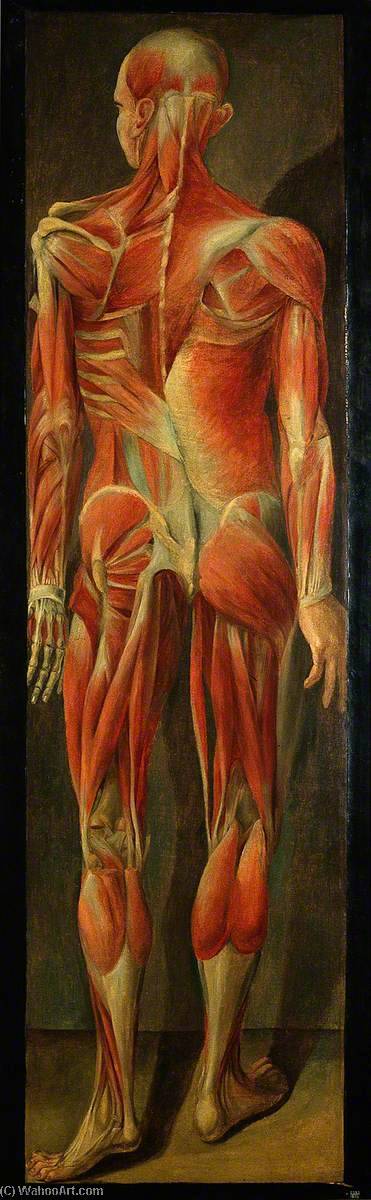 Wikioo.org - The Encyclopedia of Fine Arts - Painting, Artwork by Jacques Fabien Gautier Dagoty - A Standing Figure, Posterior View, Showing Superficial Muscles and Tendons
