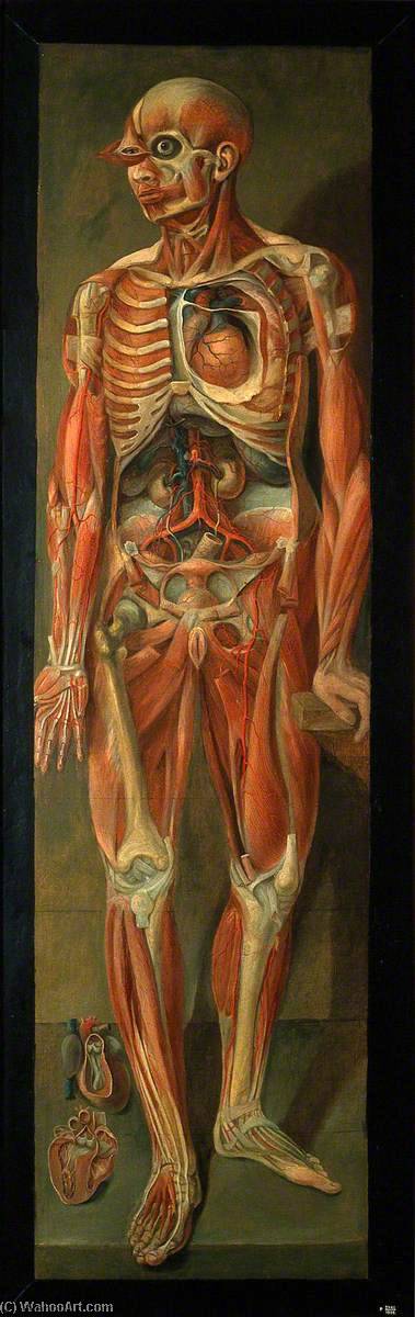 Wikioo.org - The Encyclopedia of Fine Arts - Painting, Artwork by Jacques Fabien Gautier Dagoty - A Standing Dissected Man Looking to Left, with Two Separate Figures of the Heart