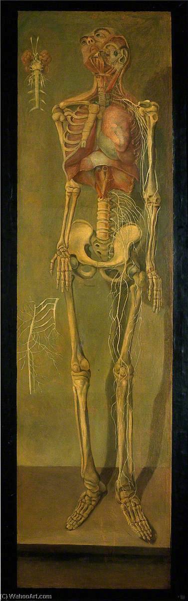 Wikioo.org - The Encyclopedia of Fine Arts - Painting, Artwork by Jacques Fabien Gautier Dagoty - A Skeleton with the Left Ribs Removed, with some Nerves and Viscera