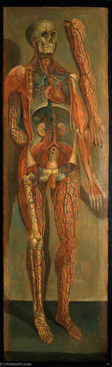 Wikioo.org - The Encyclopedia of Fine Arts - Painting, Artwork by Jacques Fabien Gautier Dagoty - A Standing Dissected Man Showing the Viscera and Blood Vessels, with a Separate Figure of the Left Arm