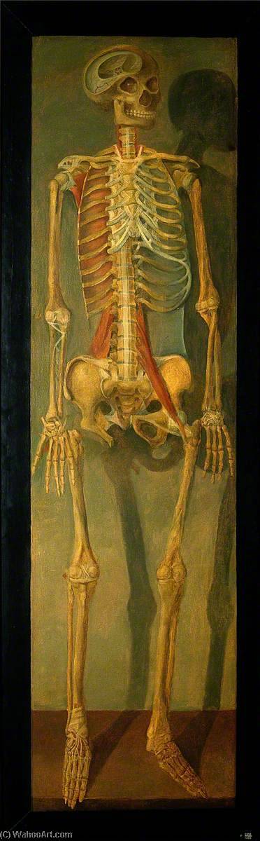 Wikioo.org - The Encyclopedia of Fine Arts - Painting, Artwork by Jacques Fabien Gautier Dagoty - A Skeleton, Anterior View, Facing to Right, with Tendons