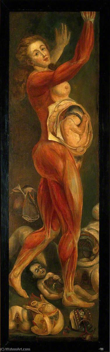 Wikioo.org - The Encyclopedia of Fine Arts - Painting, Artwork by Jacques Fabien Gautier Dagoty - A Pregnant Woman, Dissected, Lateral View, with Arms Upraised, Accompanied by Separate Sections of the Body