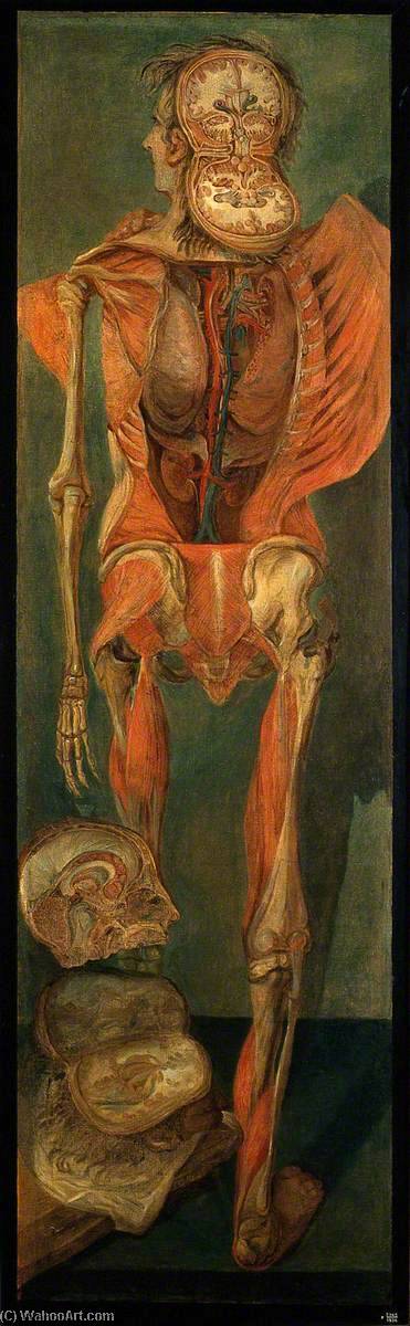 Wikioo.org - The Encyclopedia of Fine Arts - Painting, Artwork by Jacques Fabien Gautier Dagoty - A Standing Dissected Man, Posterior View, with Separate Sections of the Brain