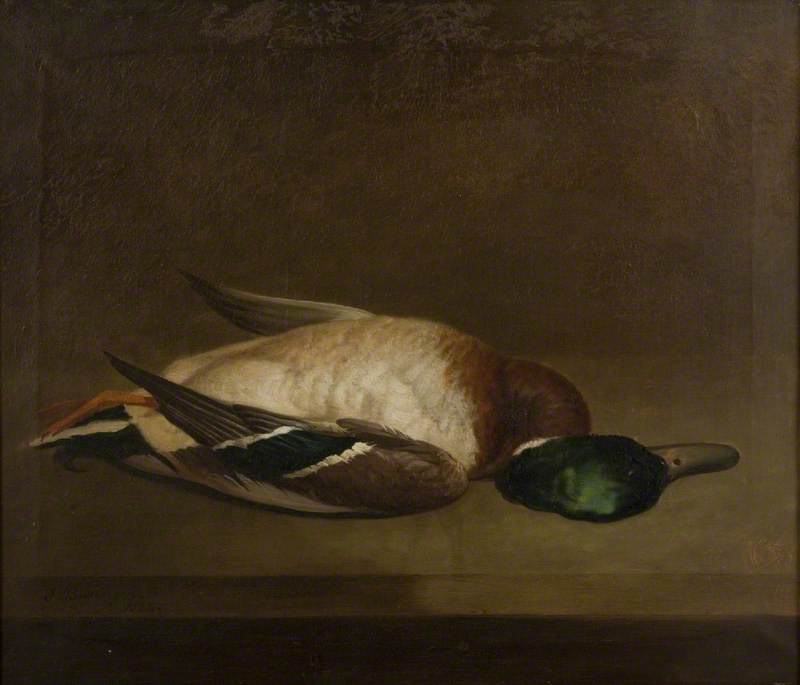 Wikioo.org - The Encyclopedia of Fine Arts - Painting, Artwork by James Barenger - Still Life with a Mallard