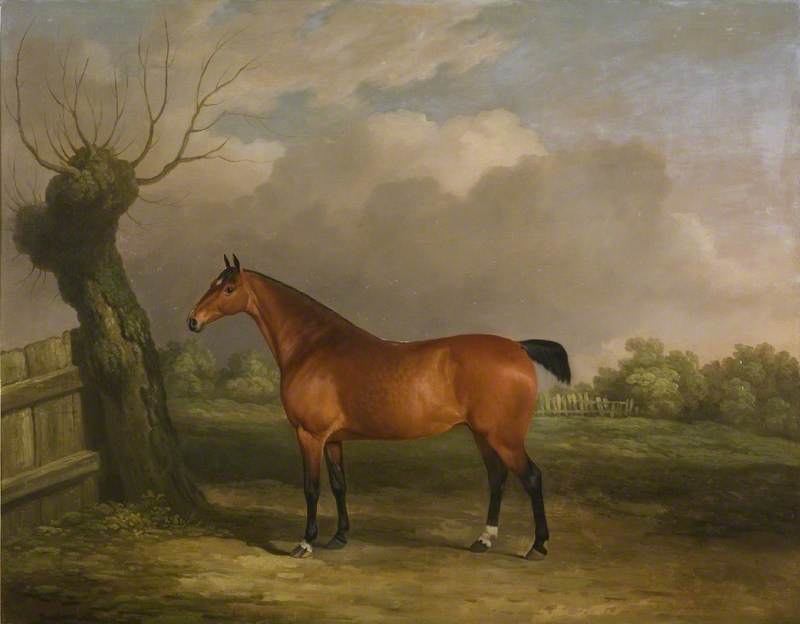 Wikioo.org - The Encyclopedia of Fine Arts - Painting, Artwork by James Barenger - Light Bay Mare