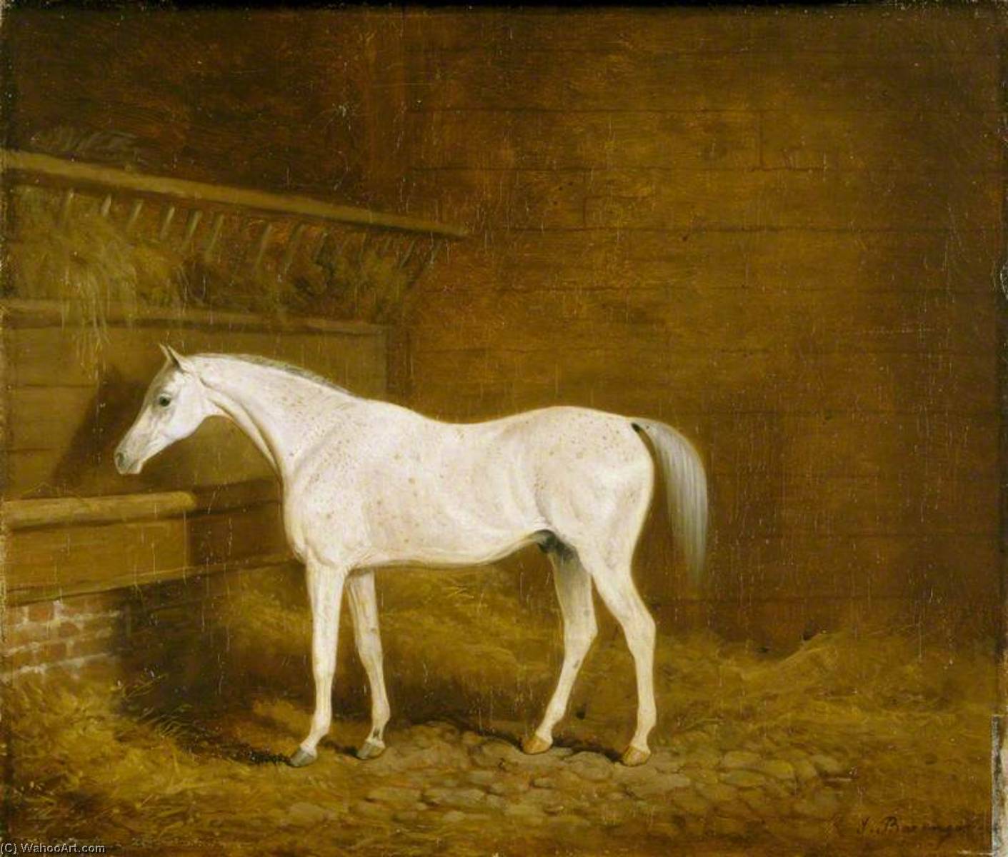 Wikioo.org - The Encyclopedia of Fine Arts - Painting, Artwork by James Barenger - A Grey Racehorse in a Stable