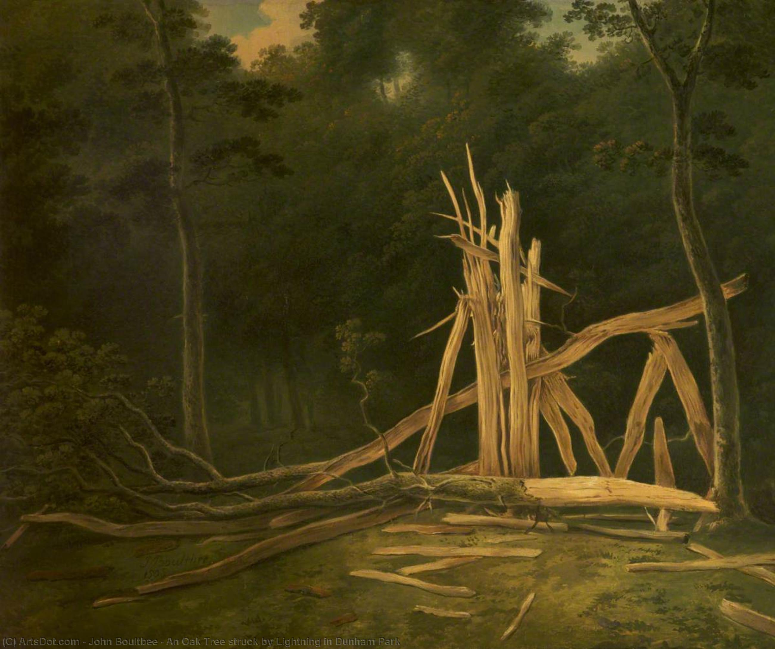Wikioo.org - The Encyclopedia of Fine Arts - Painting, Artwork by John Boultbee - An Oak Tree struck by Lightning in Dunham Park