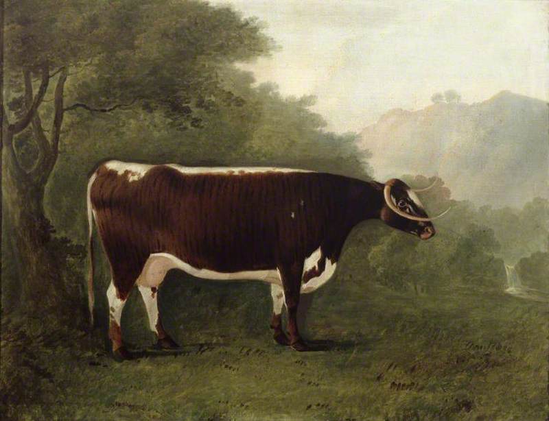 Wikioo.org - The Encyclopedia of Fine Arts - Painting, Artwork by John Boultbee - 'Garrick's Sister' A Cow